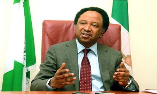 Insecurity: Only two out of 23 LGs safe from bandits attacks in Kaduna - Shehu Sani