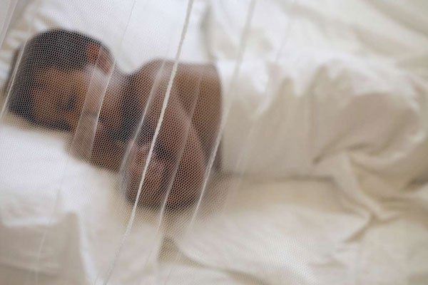 ImageFile: Treated mosquito nets unsafe – Researchers