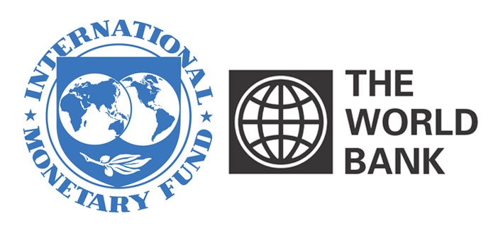 EXCLUSIVE: IMF, World Bank conspiring to kill Nigeria’s economy – Boyo