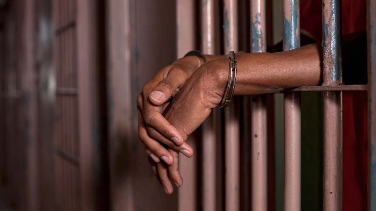 Butcher jailed 14 years in Lagos