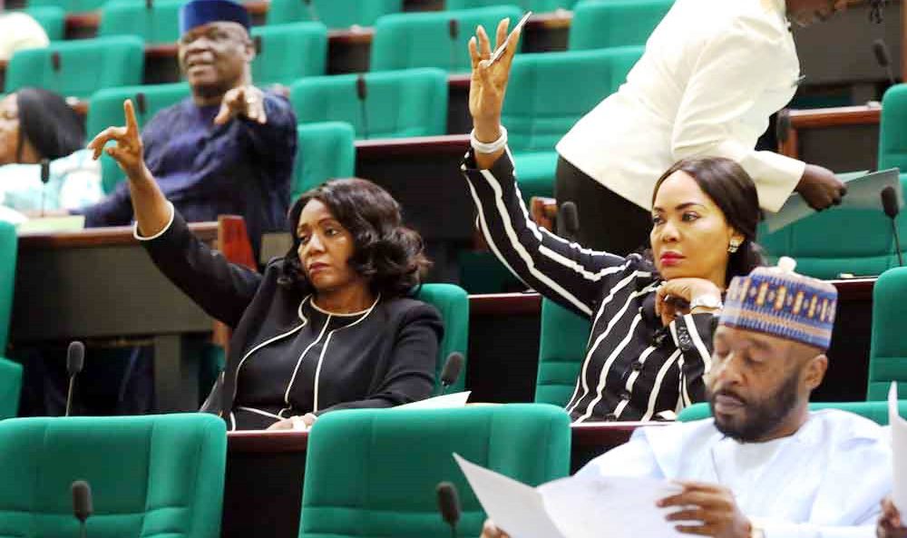 9th N/Assembly: Nigeria Needs A Female Speaker- CSO Coalition