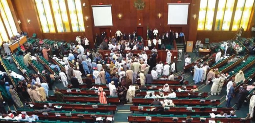 House of reps summon NPF property outfit over police assets management