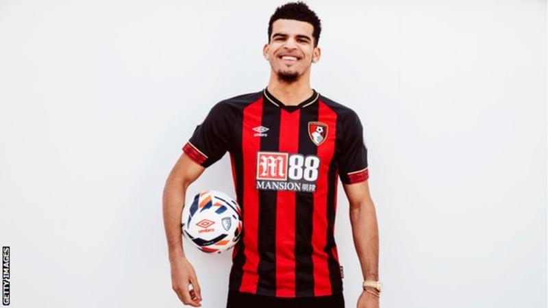 EPL: Solanke wins historic Player of the Month award
