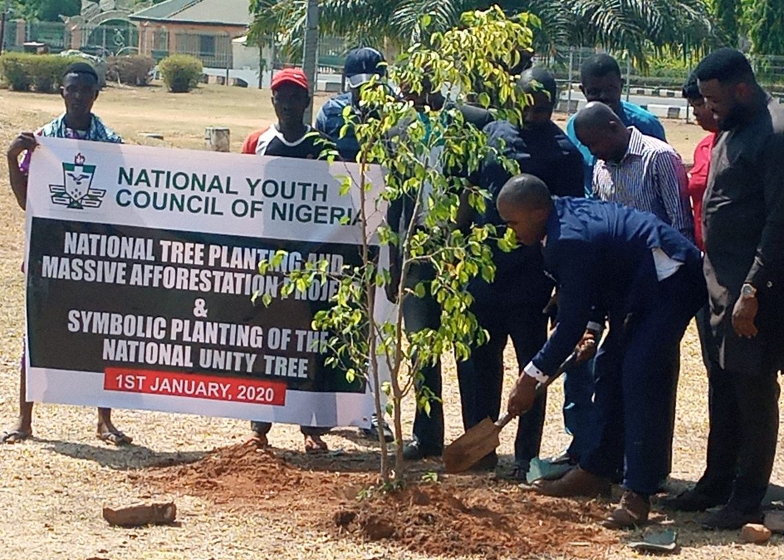 NYCN commences planting of millions of trees across Nigeria
