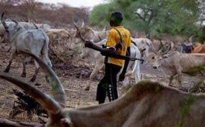 Herdsmen more dangerous than coronavirus in Nigeria – CAN