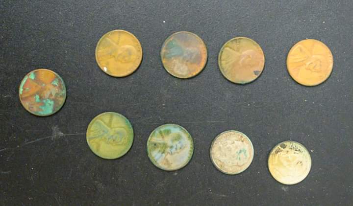 Nine coins found from Patti's wallet