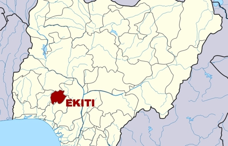 Thunder kills 15 cows in Ekiti