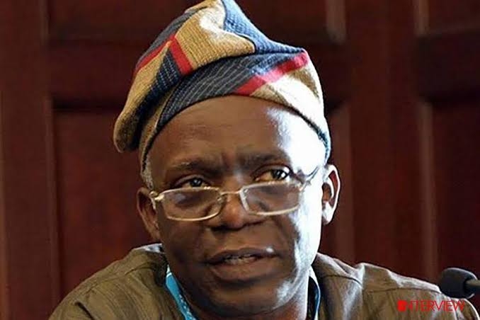 Why Onochie is not fit to be INEC Commissioner - Falana