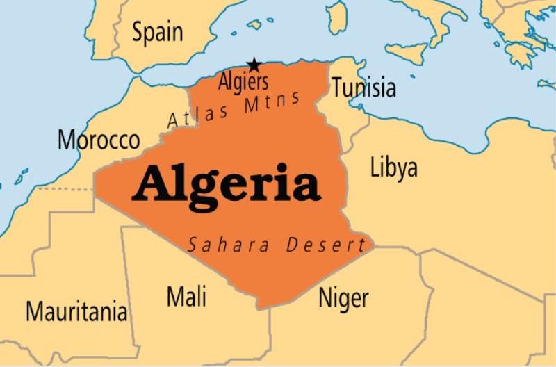 Algeria approves new constitution