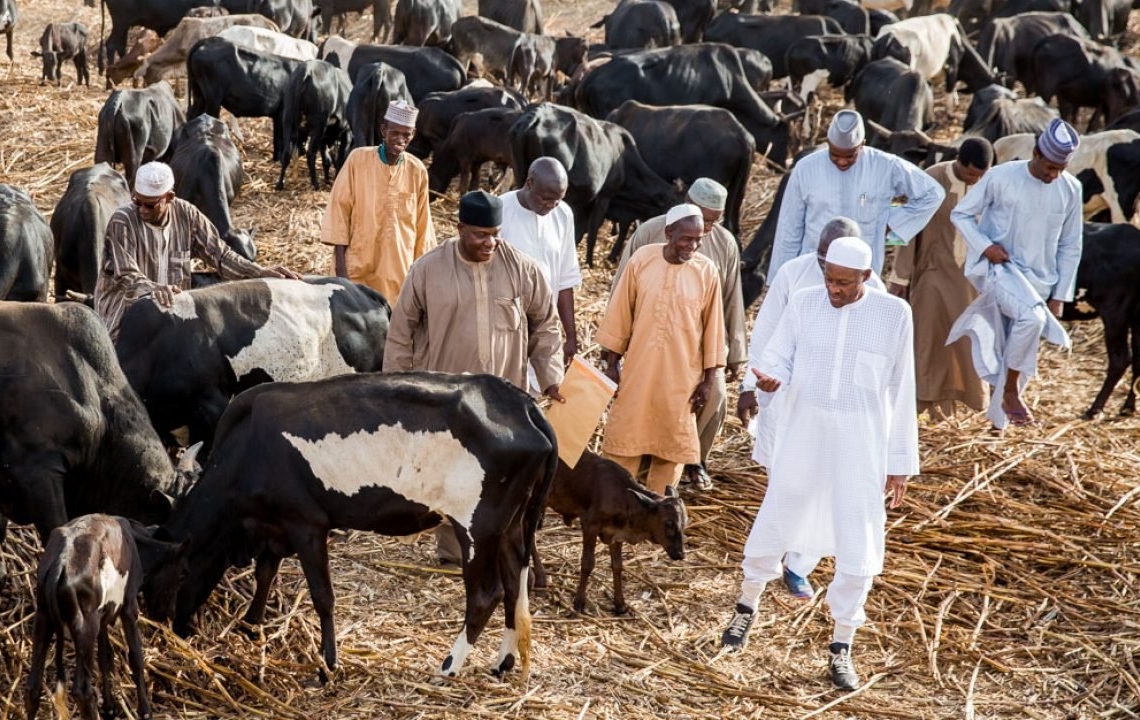File Photo: President Muhammadu Buhari on a visit to his farm
