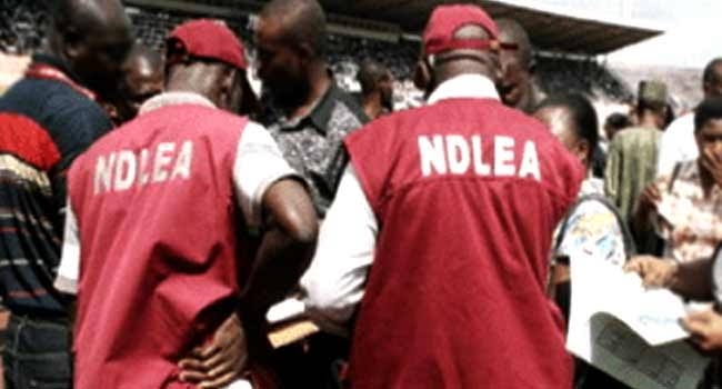 Recruitment: NDLEA releases list of successful candidates