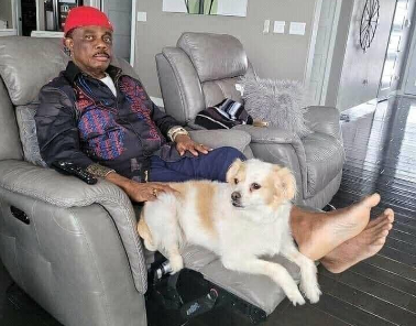 'Governor-do-nothing': Buhari's minister blasts Obiano for having 'time' to take, post picture with pet dog