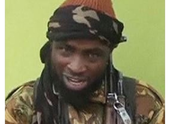 U.S. sends message to ISWAP over $7m bounty for killing Shekau