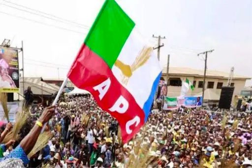 Sen. Adeyemi faults Kogi APC primary election