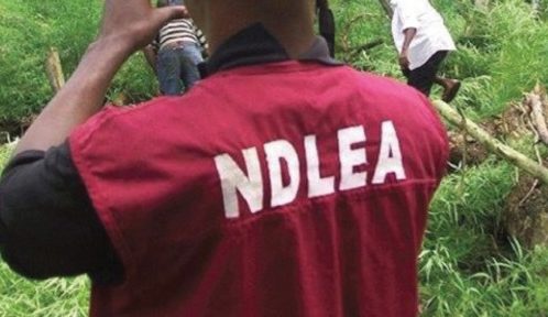 NDLEA arrests India-bound passenger who excreted 80 wraps of cocaine