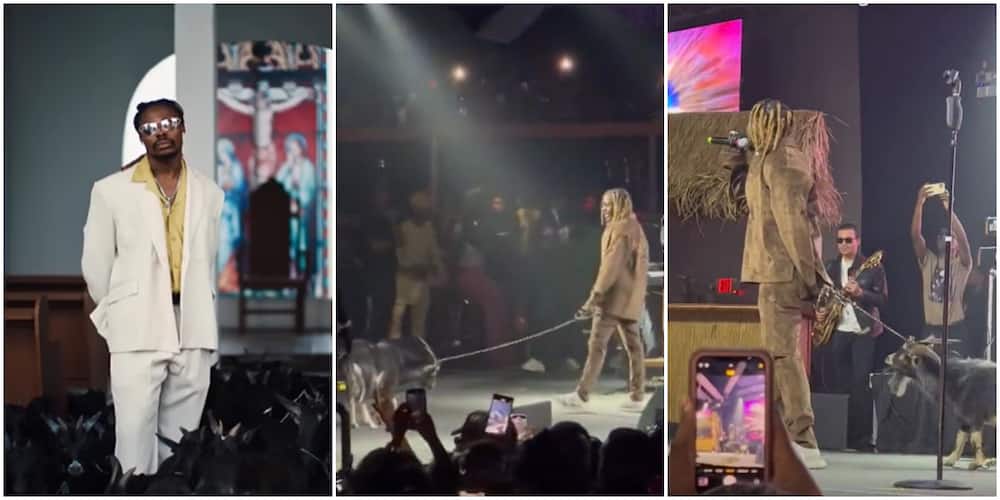 Asake shocks fans in Atlanta as he performs with live goat on stage (Video)