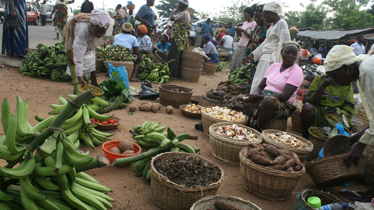 "Nigeria's food, energy crisis worsened by Naira depreciation"- W’Bank