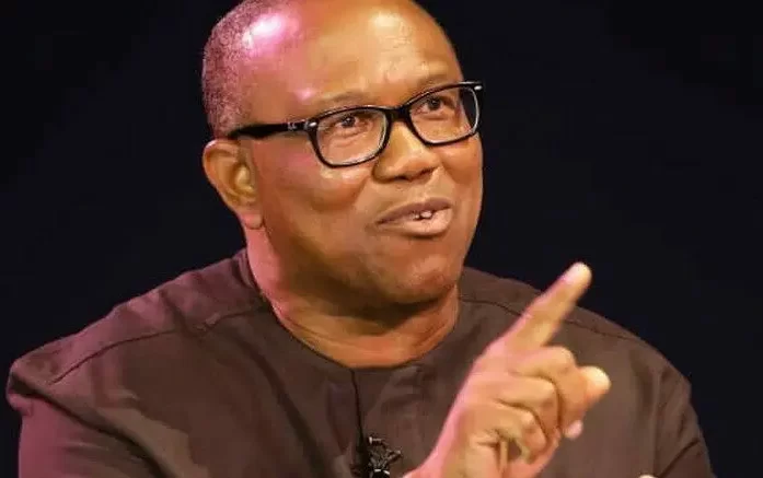 INEC refused to release documents to us - Peter Obi, Labour Party allege
