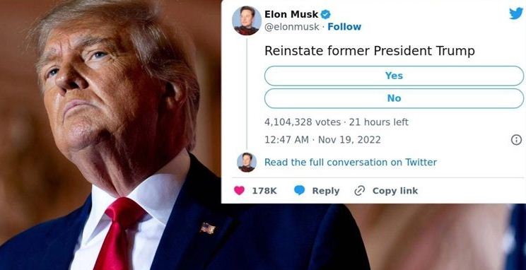 Elon Musk commences Twitter poll on whether to bring back Trump