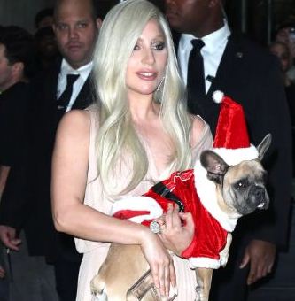 DOG THEFT: Man jailed 21 years in prison for shooting Lady Gaga's dog walker 