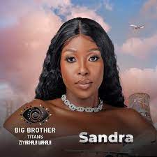 An unexpected twist in the BBTitans show on Thursday welcomed four new housemates, one of which includes a Nigerian female, Sandra.

Sandra joined other housemates in the battle to be the one to walk away with a life-changing grand prize of $100,000 amongst other benefits.

The Coordinator of the show, Biggie, introduced the new housemates.

This happens to be the season’s first twist as Biggie surprised his housemates with their new counterparts walking into the house during the first pool party.

Although surprised, the older housemates introduced to viewers on Sunday accepted their new counterparts with open hands.