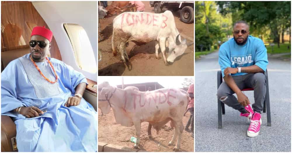 P-Square, Sabinus donates one cow each to host Tunde Ednut’s 37th birthday 