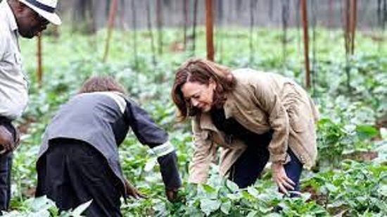 ZAMBIA: Kamala Harris pledges U.S. support for African agriculture