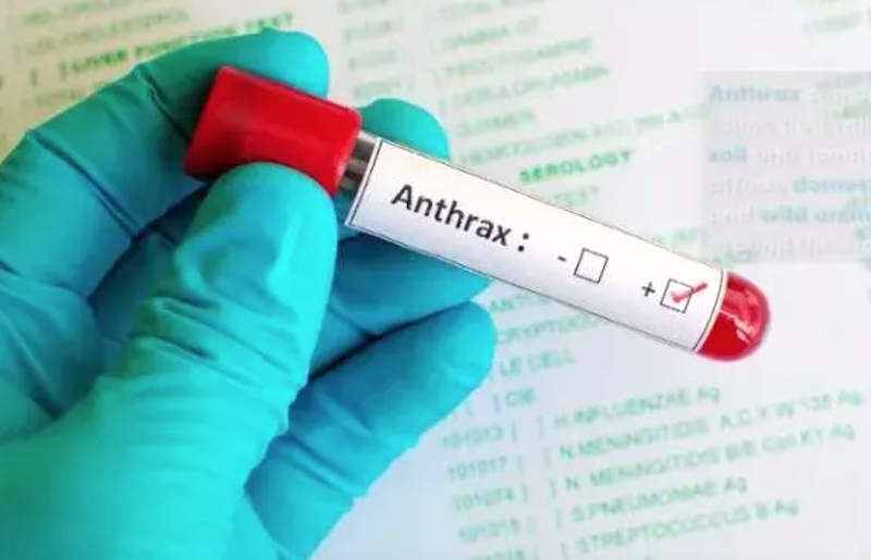 Deceased infected by anthrax should be burnt – NCDC