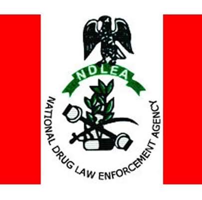 NDLEA arrests 67-year-old for ingesting cocaine to fund new marriage