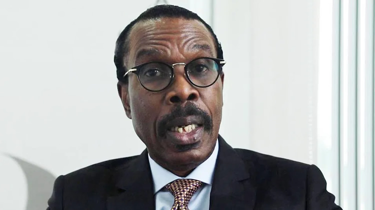 Sub-national experience not enough to run government at federal level - Rewane