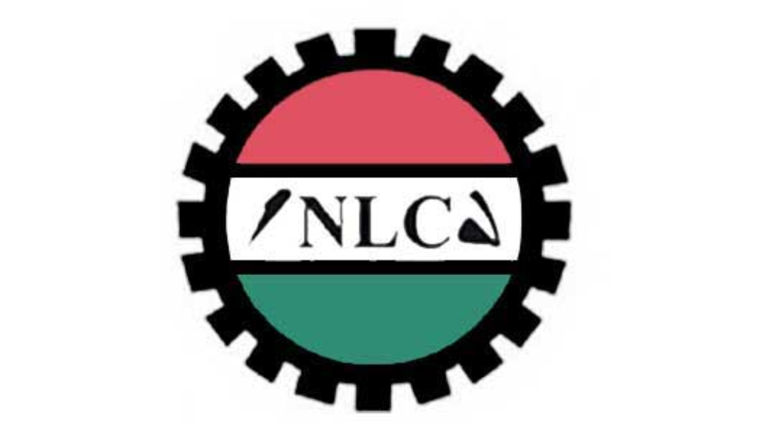 VIDEO: WATCH moment NLC, president give reasons why nationwide strike was suspended