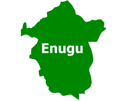 Enugu govt. to hold off proposed implosion of failed bridge