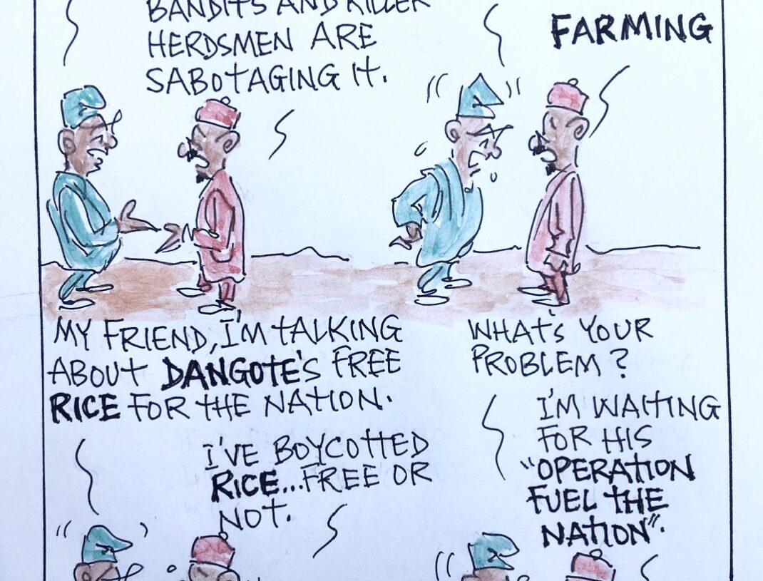 CARTOON OF THE DAY: What about Dangote’s free rice?