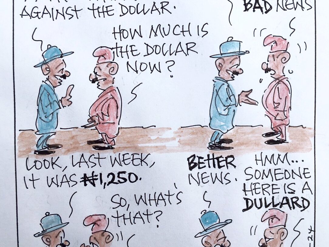 CARTOON OF THE DAY: Good news for the Naira
