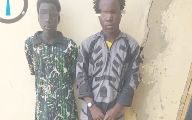 2 Boko Haram bomb experts surrender in Borno
