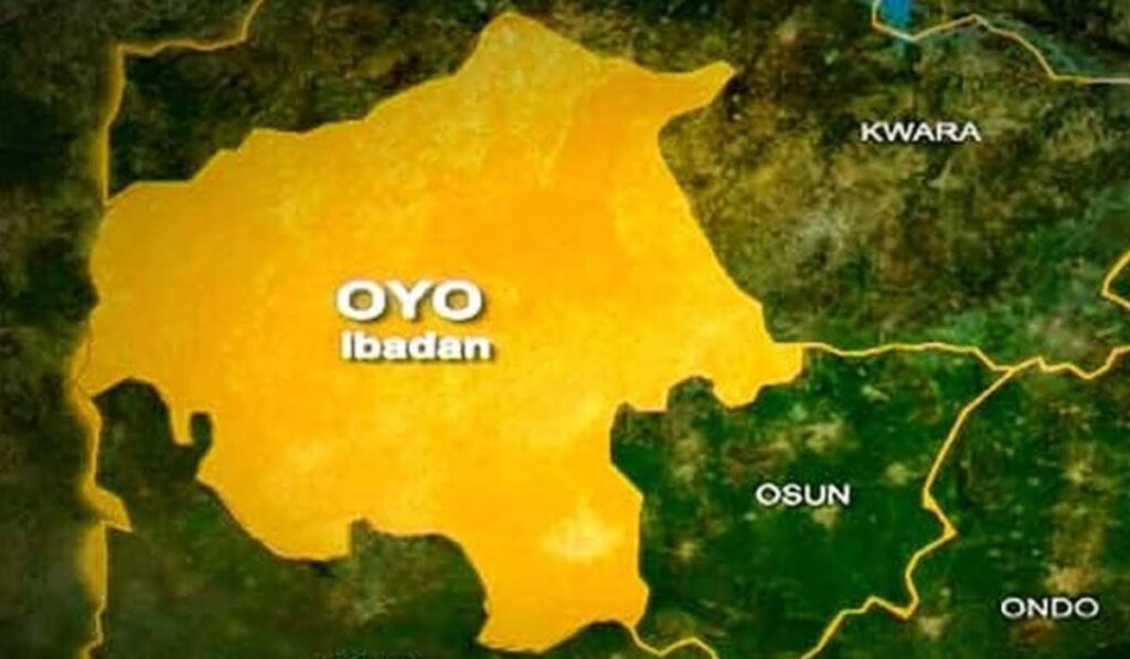 1 dies, 12 arrested in Ibadan palliative protest