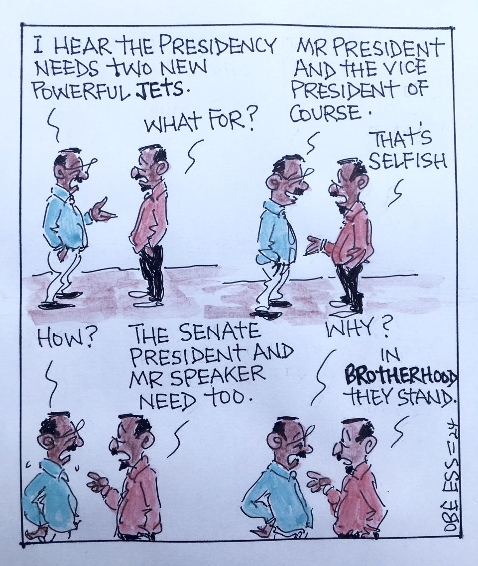 CARTOON OF THE DAY: Senate President and Mr Speaker need jets too