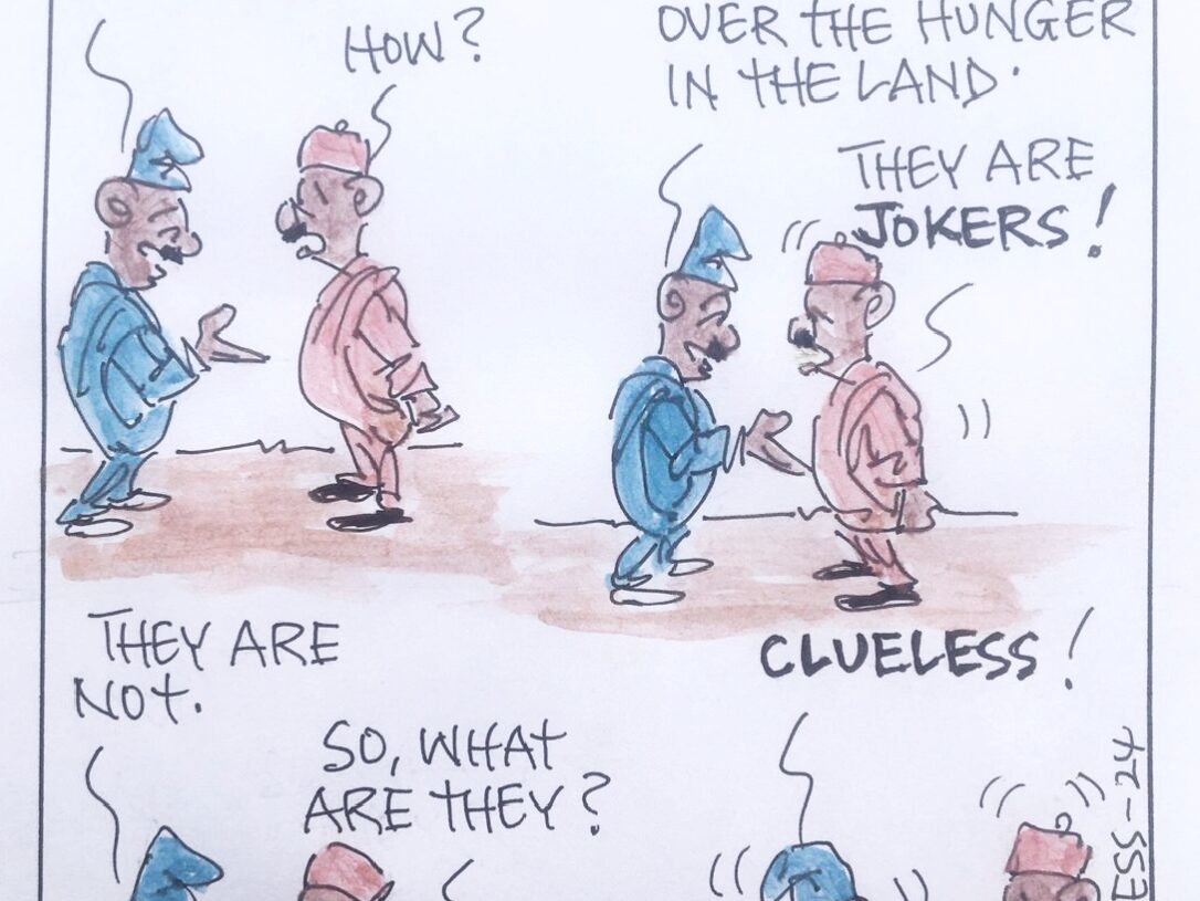 CARTOON OF THE DAY: The clueless politicians in Nigeria