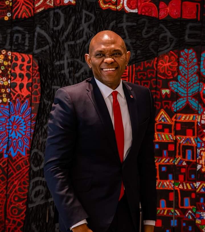 Reveal the identities of those responsible for oil theft in Nigeria - Elumelu challenges FG