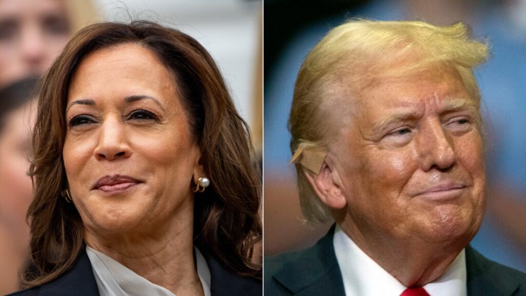 Trump, Harris to clash at debate that could reshape 2024 race